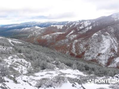 Hayedo de Pedrosa - Parque Natural Sierra Norte de Guadalajara - Hayedo de Tejera Negra